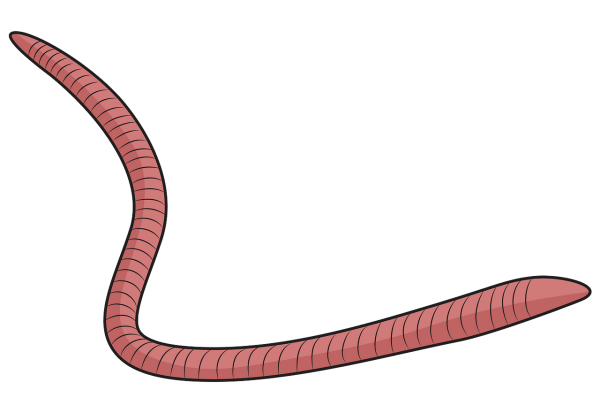 Червь мультяшный