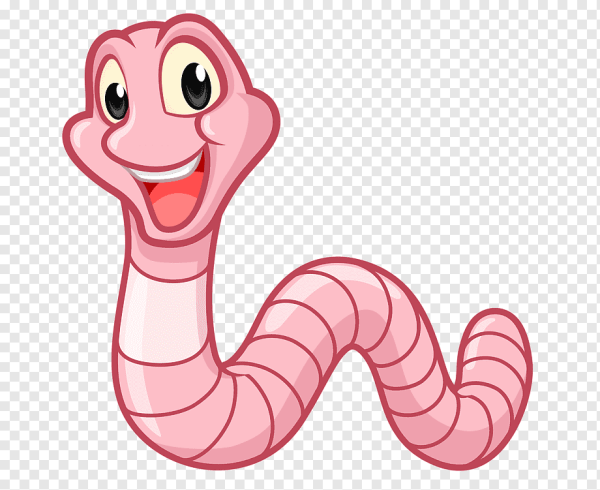 Дождевые черви рыхлят почву