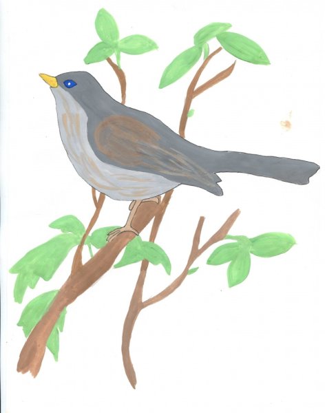 Соловей картинка для детей