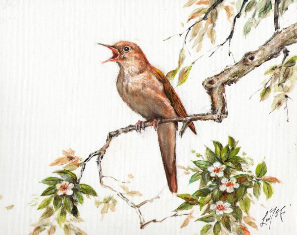 Птички поют