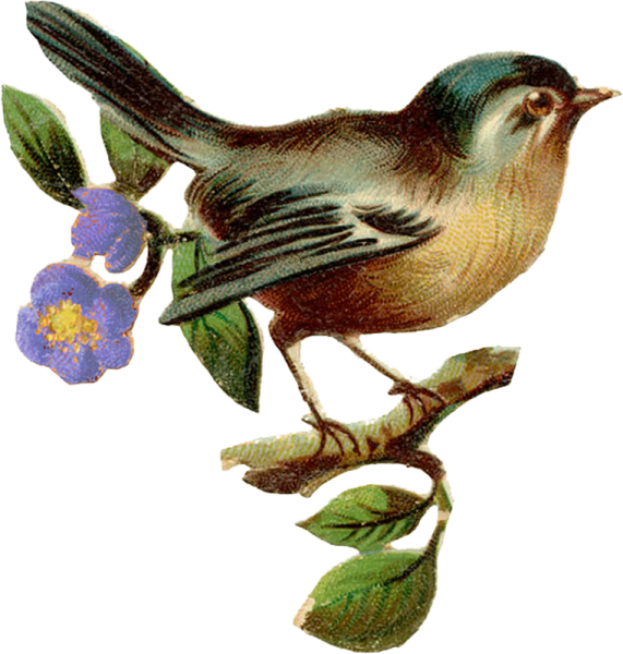 Соловей стилизованный