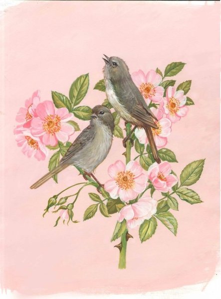 Птицы на цветущей ветке живопись