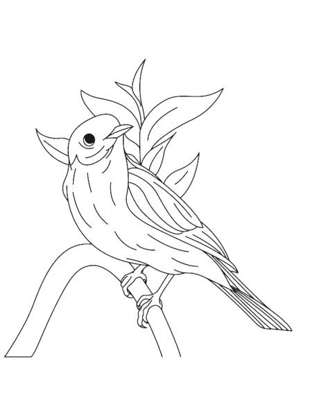 Соловей для детей