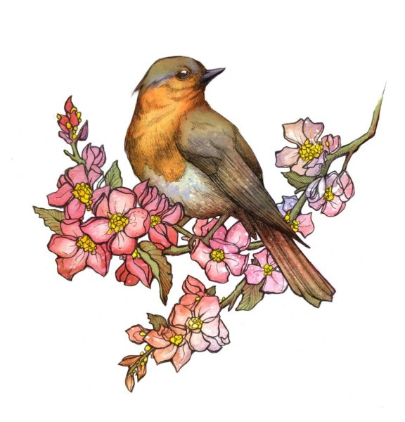 Соловей мультяшный