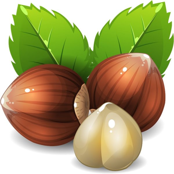 Фундук мультяшный