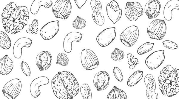 Орех раскраска