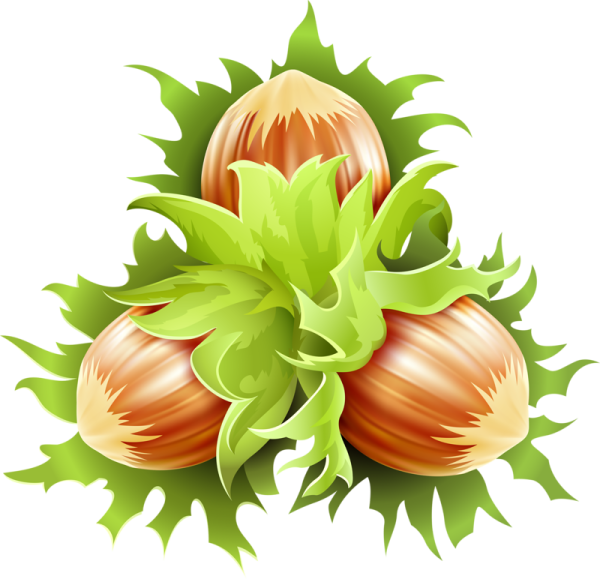 Орех мультяшный