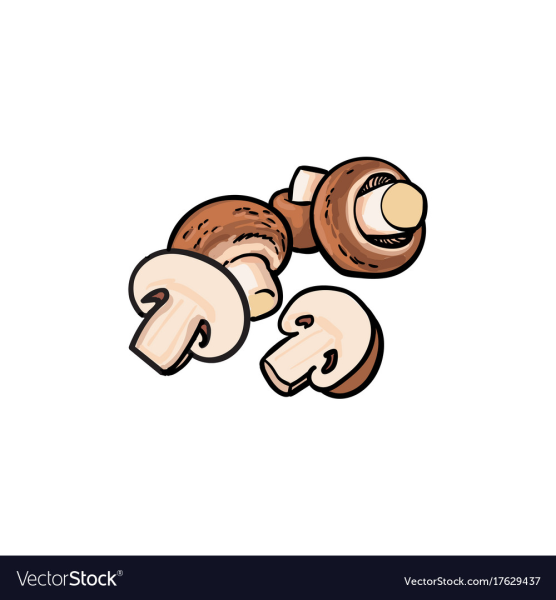 Грибы шампиньоны вектор