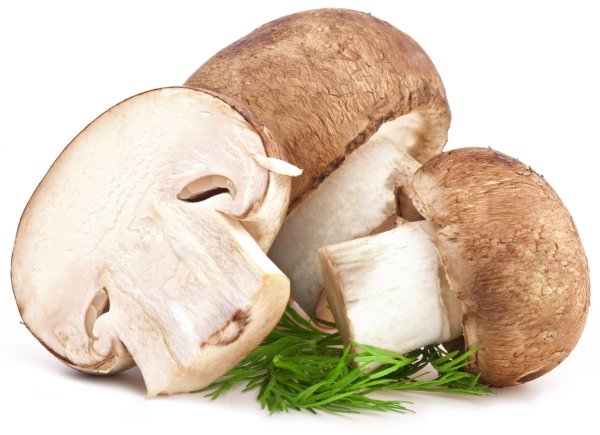 Белые грибы шампиньоны