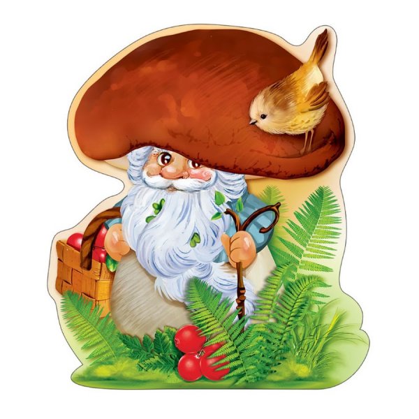 Гриб Лесовичок Боровичок