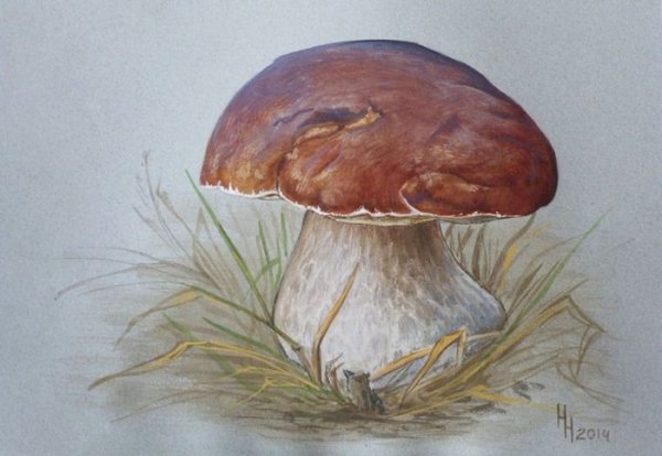 Сказочные герои и гриб Боровик