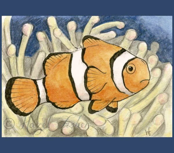 Рисование рыбки клоуны