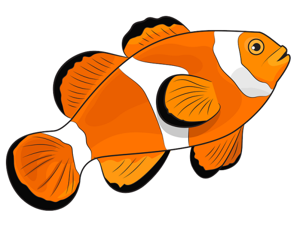 Рыба для детей печать цветная