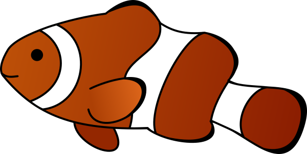 Clownfish draw