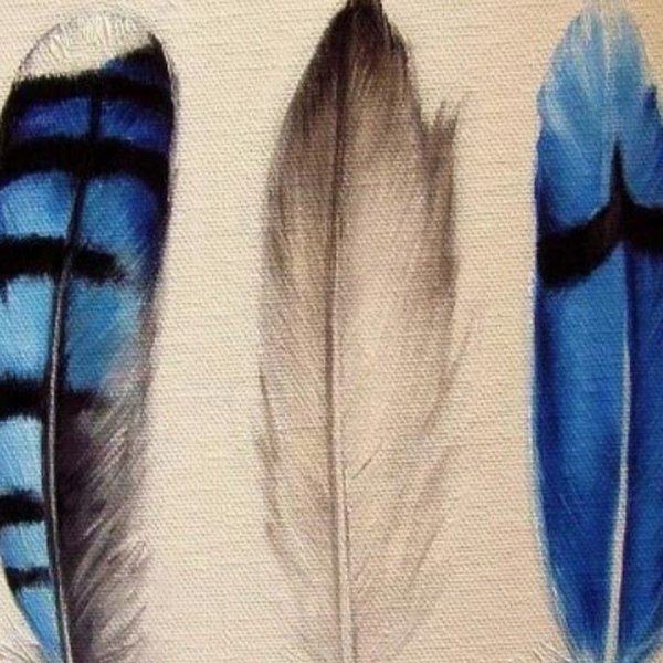 Рисунок из перьев