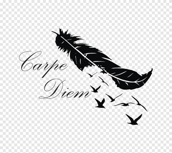 Перо ласточки