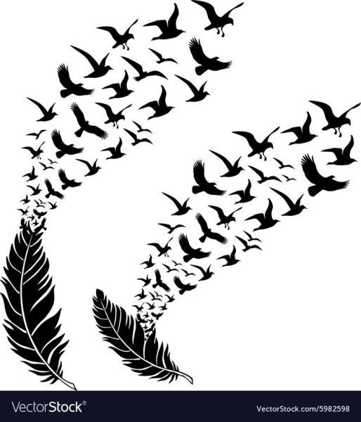 Перо птицы для рисования