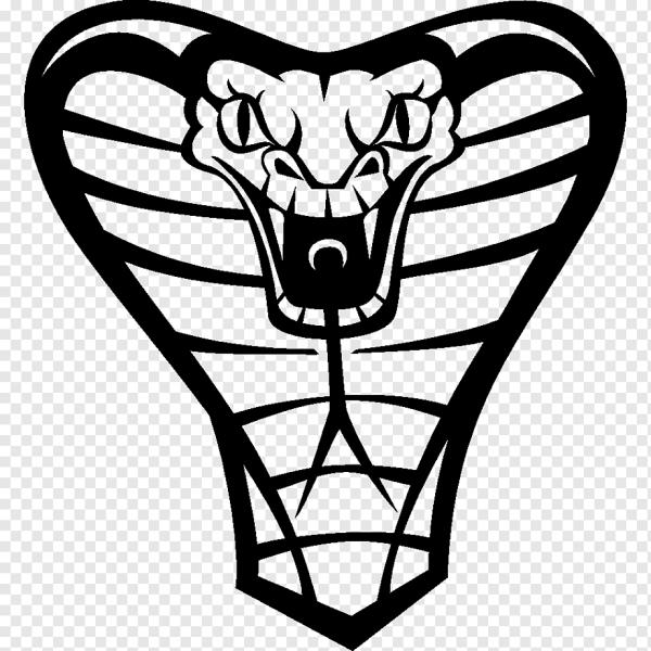 Голова змеи вектор