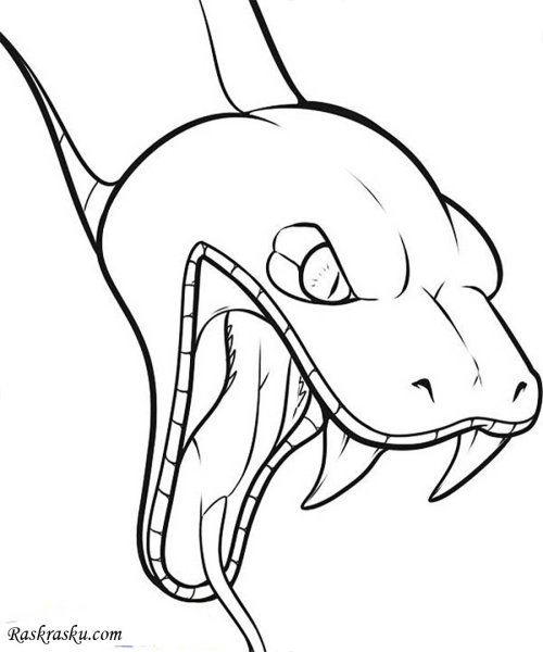 Рисунок змеи для срисовки