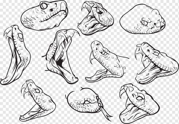 Голова змеи референсы