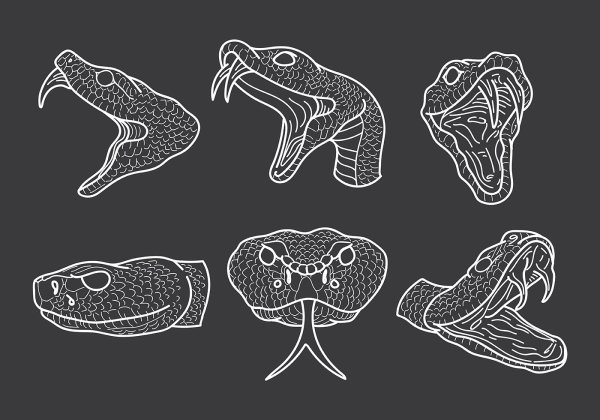 Голова змеи вектор