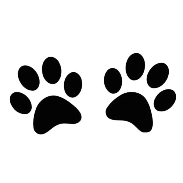 След лапы кошки