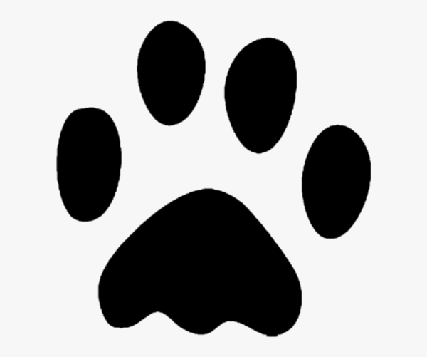 Отпечаток лапы кошки