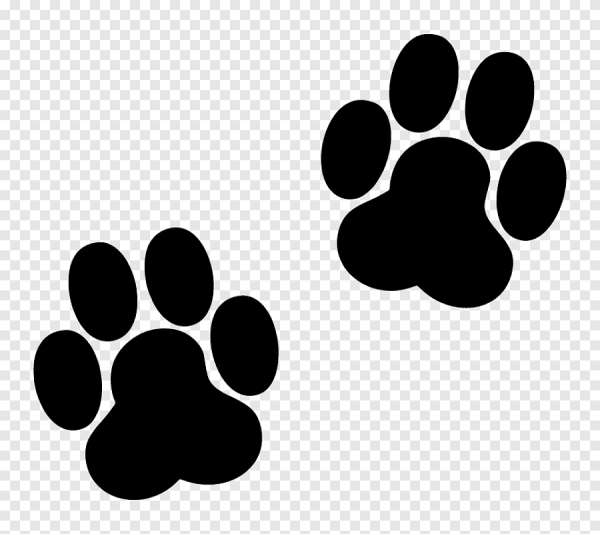 След собаки