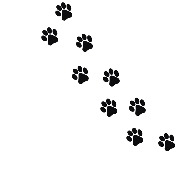 Отпечаток лапки кошки