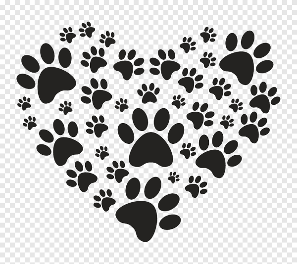 Кошачьи лапки следы