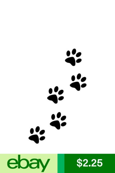 Отпечаток кошачьей лапки