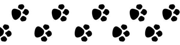 Кошачьи лапки на белом фоне