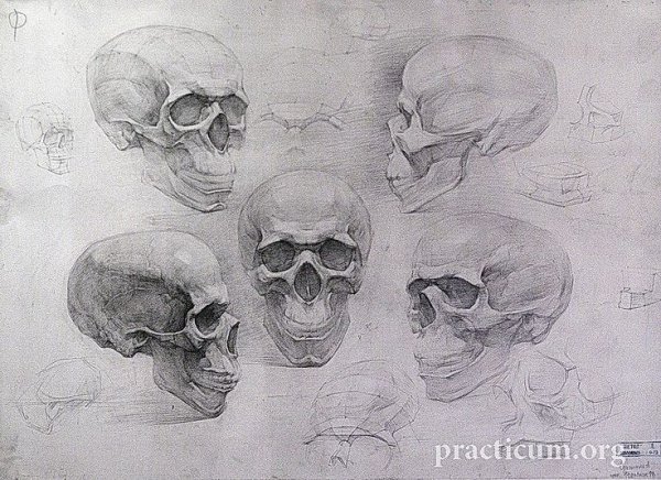 Экорше Баммес