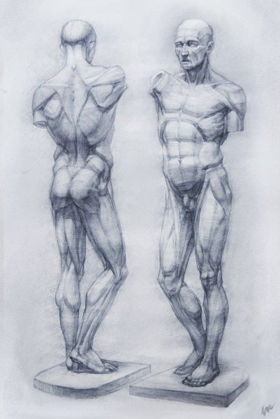 Готфрид Баммес коленный сустав