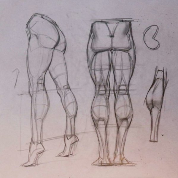 Пластическая анатомия Баммес руки