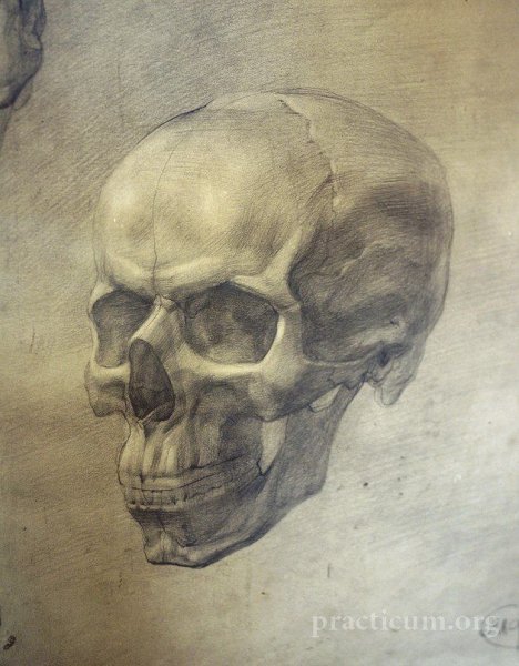 Могилевцев Экорше