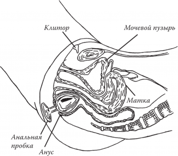Схема полового акта