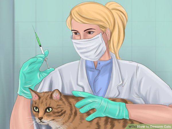 Ветеринар рисунок