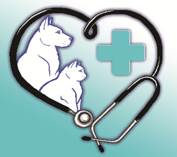 Рисунки для ветклиники