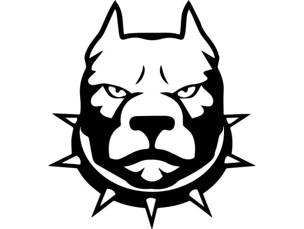 Тату питбуль эскиз