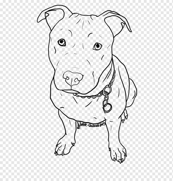 Американский питбультерьер раскраска