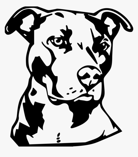 Американский стаффордширский терьер вектор черно белый