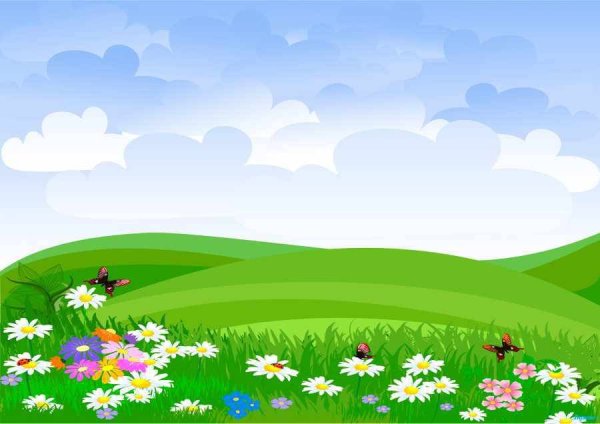 Поляна цветов для детей