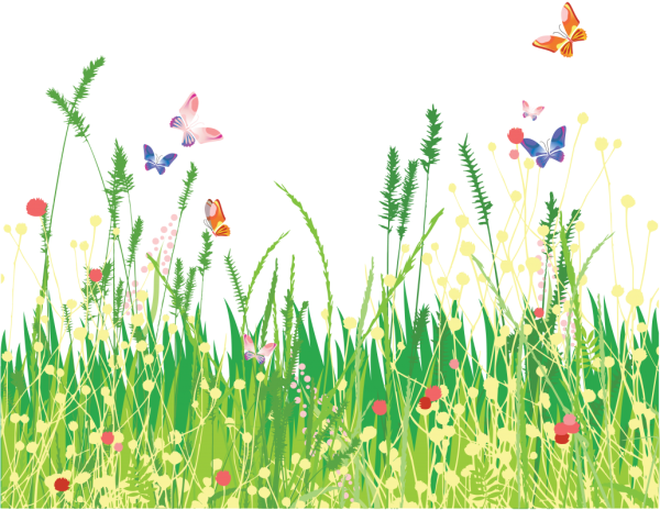 Трава с цветами на прозрачном фоне