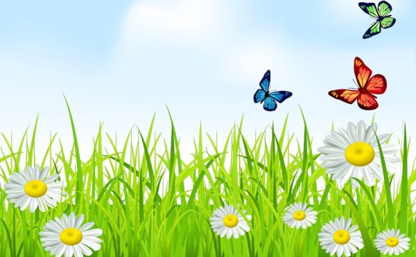 Поляна цветов для детей