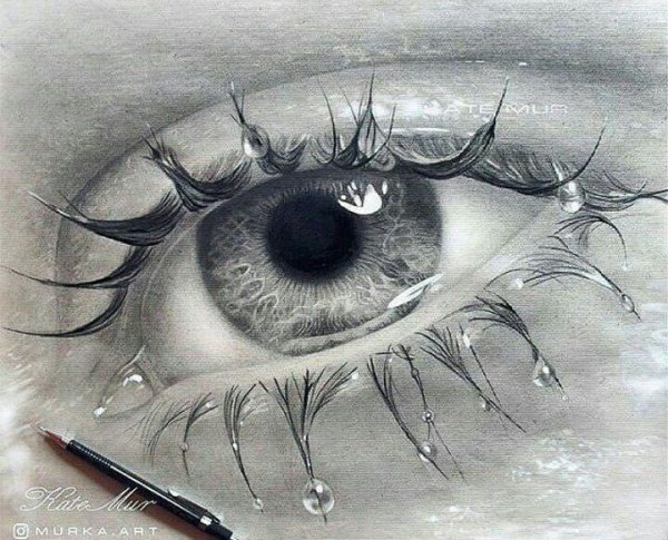 Глаз в профиль карандашом