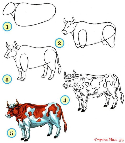 Схема рисования домашних животных