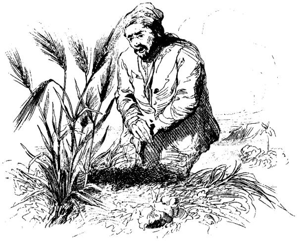 Дефо, Даниель "приключения Робинзона Крузо"