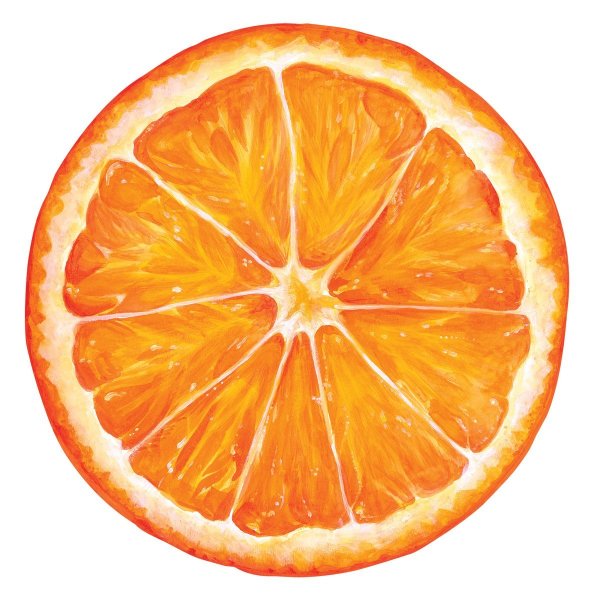 Долька апельсина вектор
