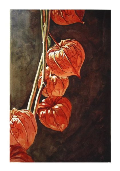 Китайская живопись физалис